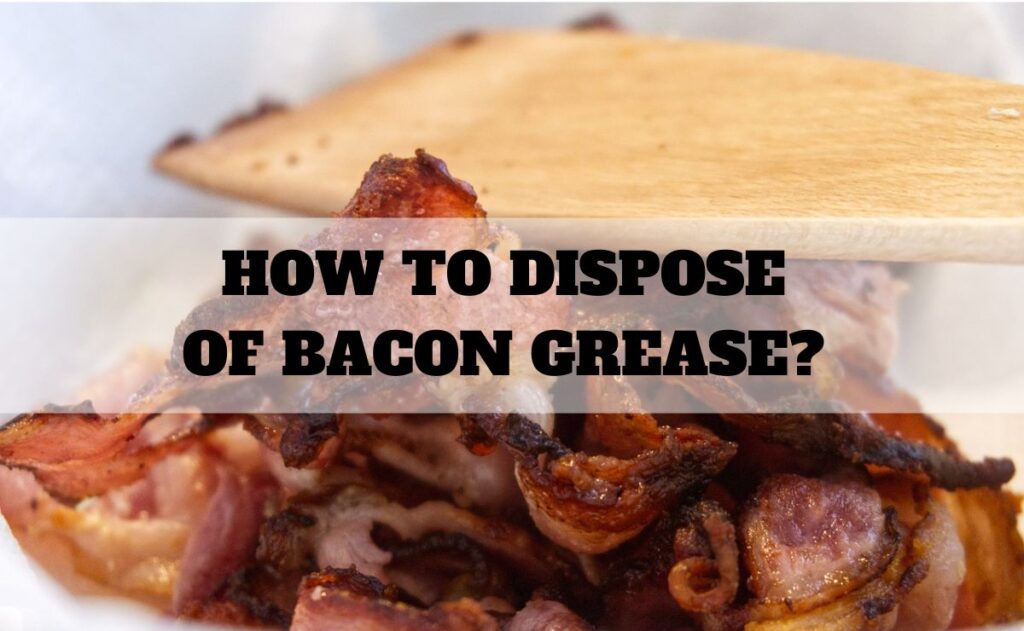 How to Dispose of Bacon Grease